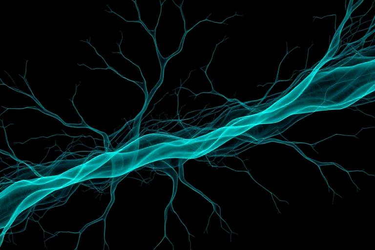 Fibrotic & Remodeling Diseases
